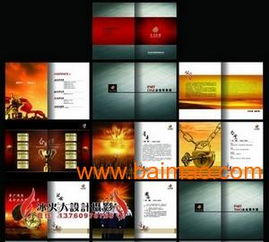 VIS品牌策劃與設(shè)計(jì)服務(wù) 從標(biāo)志到畫冊(cè)、包裝的全面解決方案